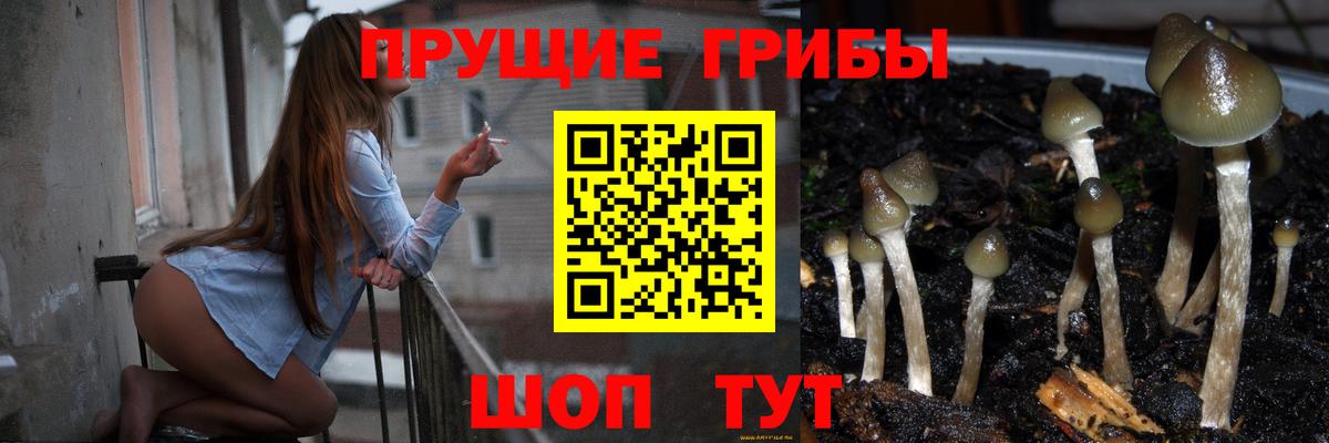 Галлюциногенные грибы ЛСД Минеральные Воды